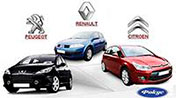 Автозапчасти для Рено, Пежо и Ситроен становятся ближе! Автозапчасти для Рено, Пежо и Ситроен становятся ближе!