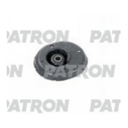 PSE40308