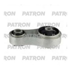 PSE30510