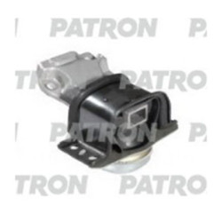 PSE30482
