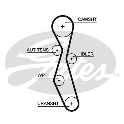 Ремень ГРМ Focus-2/Citroen C4/Peugeot 307 2.0 TDCi (G6DG/G6DF/DW10BTED4) (z=116*25,4) ор.1231976 Gates 5606XS