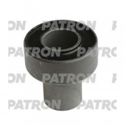 PSE11155