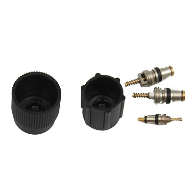 7701205920 Renault Комплект клапанов кондиционера купить в интернет ...